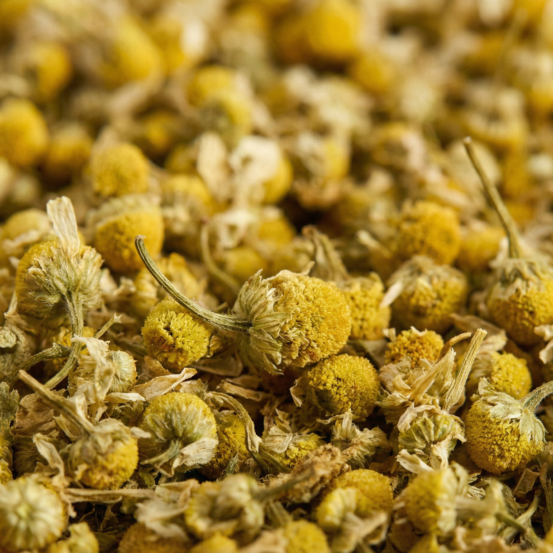 Getrocknete ganze Kamillenblüten von Alanda's 