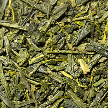 GRÜNTEE Nahaufnahme - Loser japanischer Sencha mit charakteristischen grünen Teeblättern