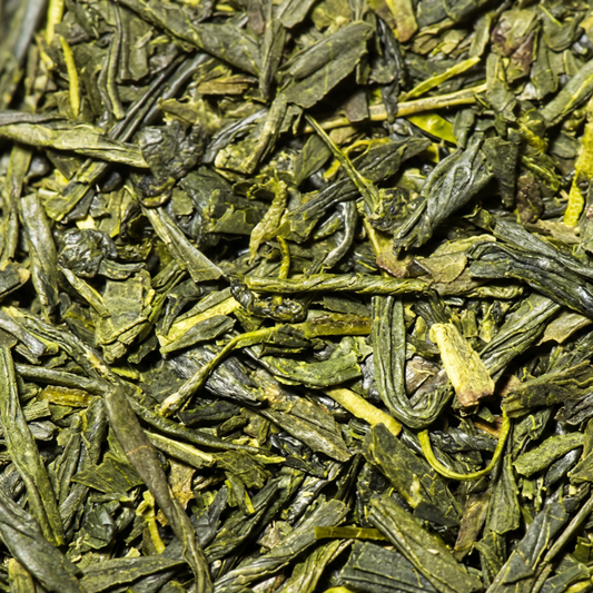 GRÜNTEE Nahaufnahme - Loser japanischer Sencha mit charakteristischen grünen Teeblättern